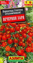 Бархатцы Вечерняя заря отклоненные 0,3гр Аэлита