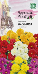 Георгина Василиса 0,3гр Гавриш