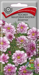 Космея махровая кнопка Двуцветная 0,1гр Поиск