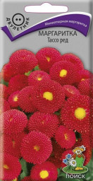 Маргаритка Тассо ред 20шт Поиск