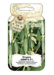 Огурец Амиго F1 банка 8шт УД
