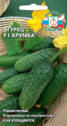 Огурец Хрумка 0,3гр СеДеК