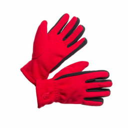 Перчатки Эльбрус windblock Холстер