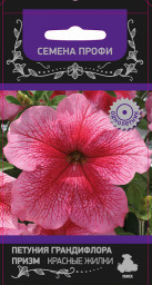 Петуния Призм Красные жилки грандифлора 30шт ПЦцп