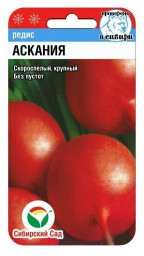 Редис Аскания 2гр Сибирский Сад
