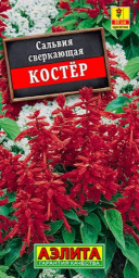 Сальвия Костер 0,1гр Аэлита