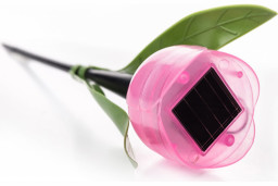 Светильник садовый на солнечной батарее Розовый тюльпан 5х30,5 см 1 LED Uniel