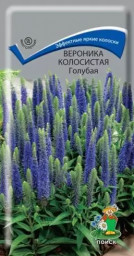 Вероника колосистая Голубая 0,1гр Поиск